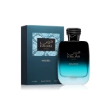 RASASI HAWAS MALIBU EDP 100 ML